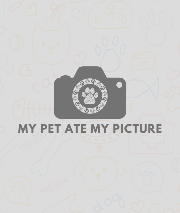 Matthew Putchat