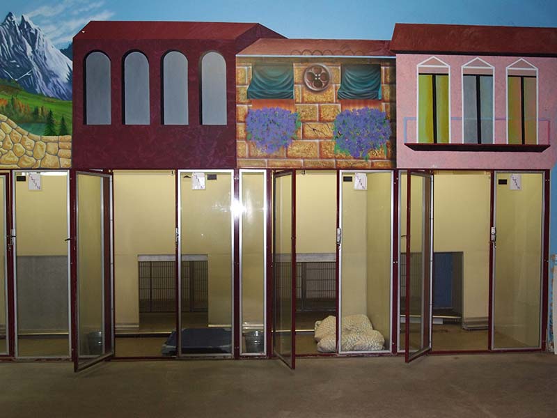 Dog Boarding Quakertown PA